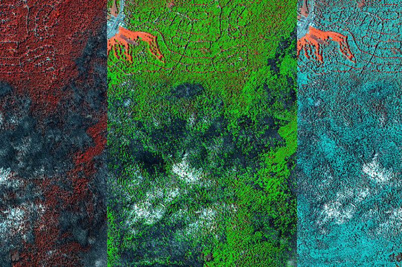 Forest fire by satellite