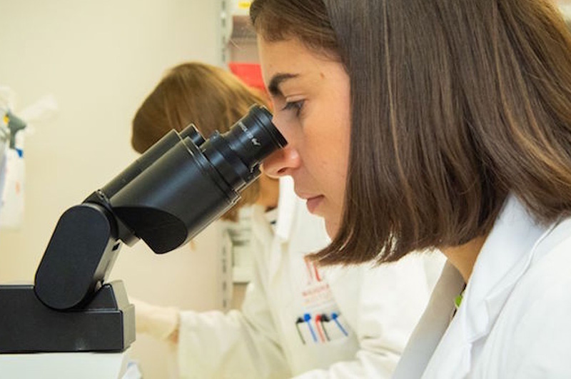 Malaghan RNA studies