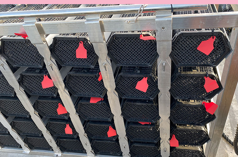 The new trial sub-unit being deployed off the coast of Ōpōtiki on industry partners Whakatōhea Mussels’ marine farm.