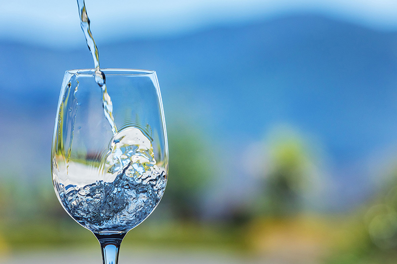 Sauvignon blanc wine