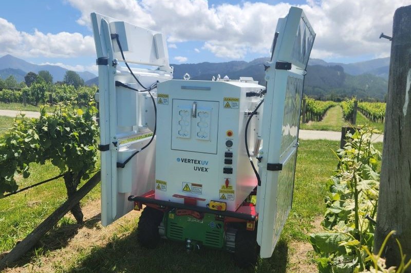 UV treatment in vineyards