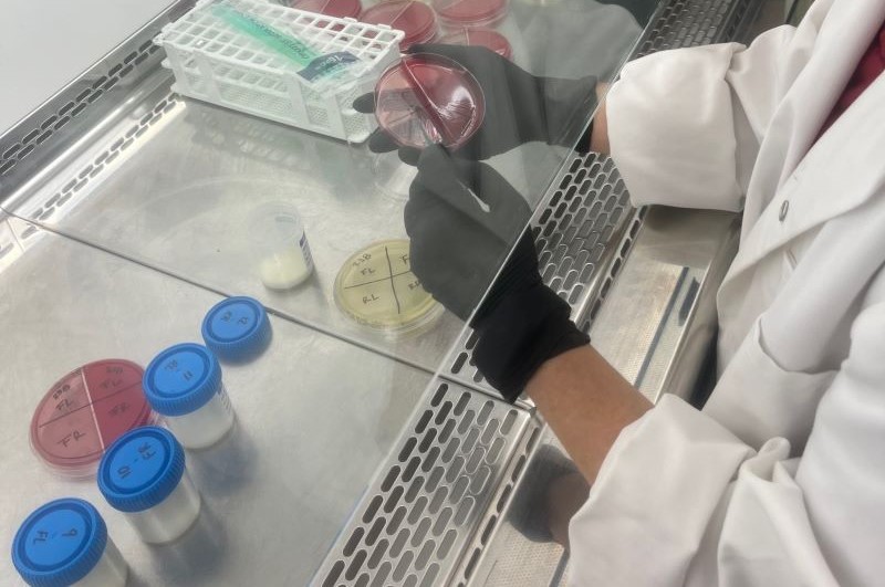 Pre-screening milk samples