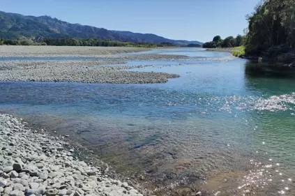Wairau River