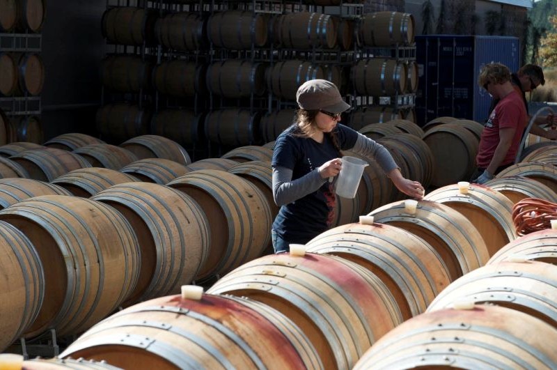 testing wine barrels