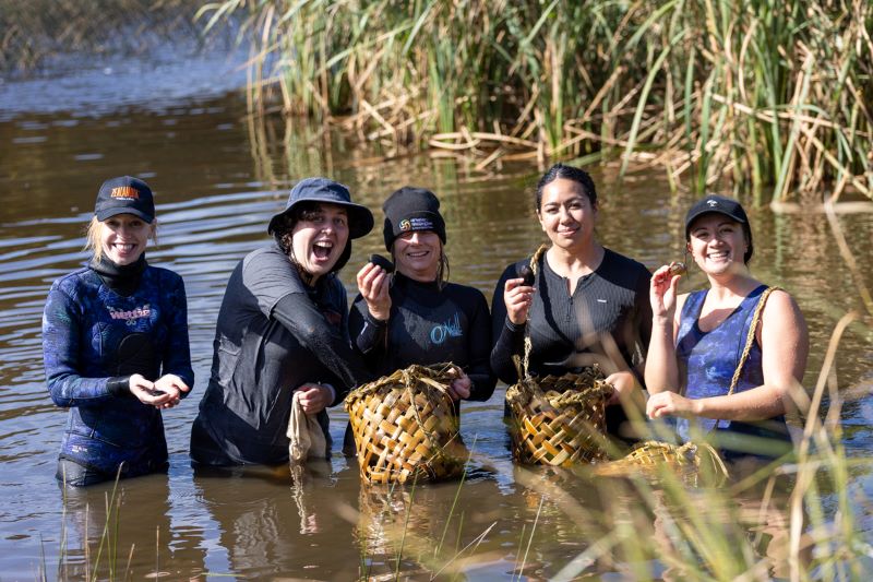 species translocation at Zealandia