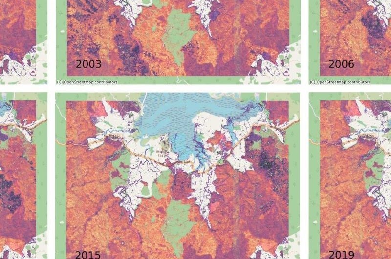Dragonfly forest maps