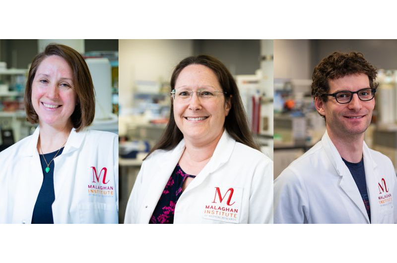 Dr Michelle Linterman, Dr Rachel Perret, Dr David O'Sullivan