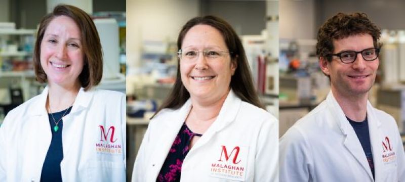 Dr Michelle Linterman, Dr Rachel Perret, Dr David O'Sullivan