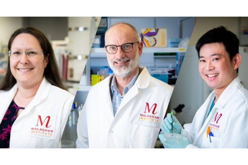 Dr Rachel Perret, Professor Ian Hermans, Dr Sotaro Ochiai