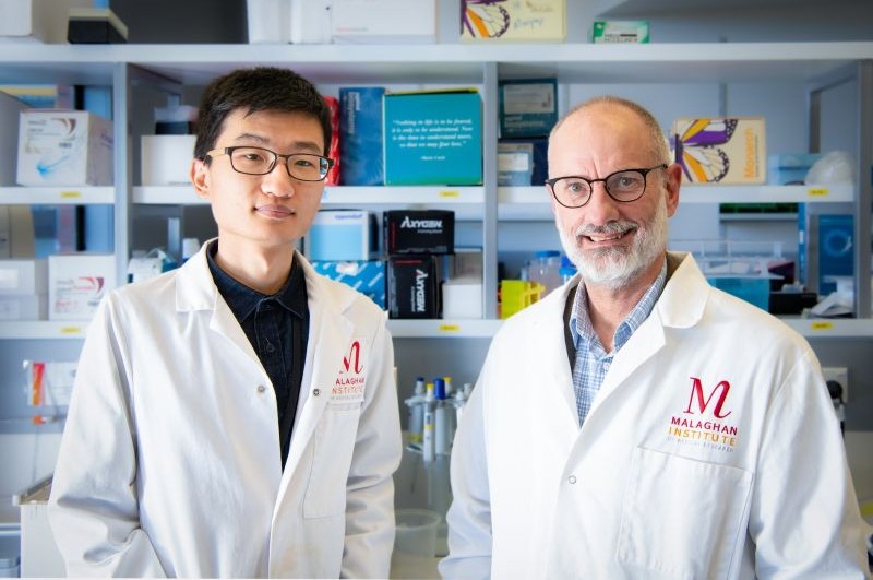 Regan fu and Ian Hermans