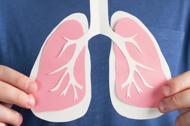 paper cut-out of lungs