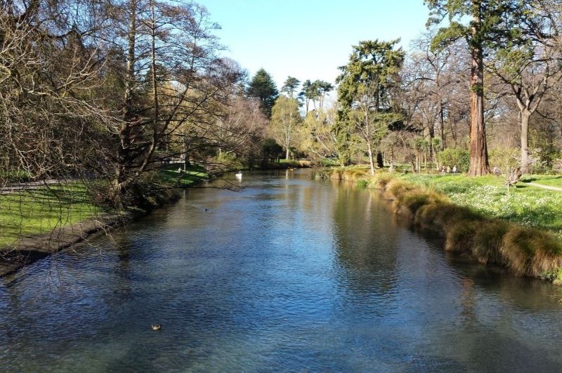 Avon River, Christchurch