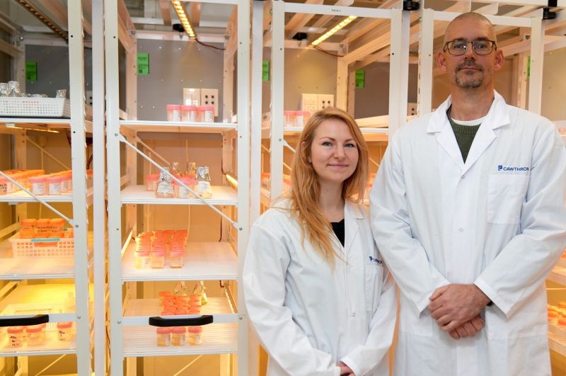Dr Cora Hertzer and Dr Johan Svenson
