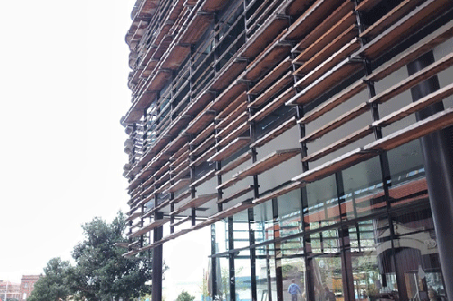 Jackie Paul at the UN