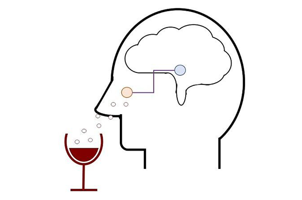 precast concrete floors