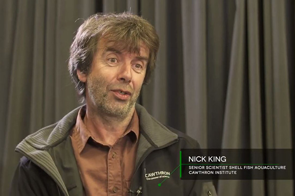 KiwiNet Awards Finalist