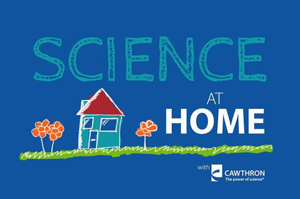 Science at Home