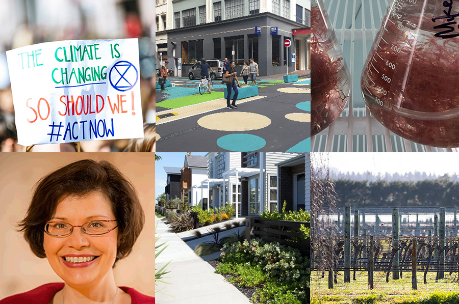 research photo montage