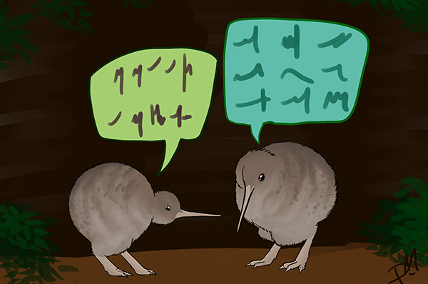 kiwi voices illustration