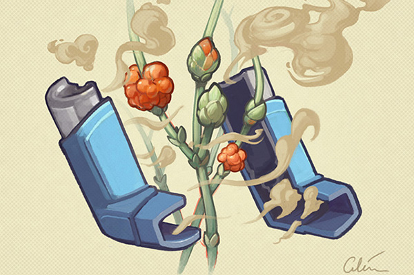 Future of SABA, illustration by Cilein Kearns