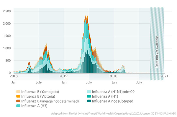 flu chart