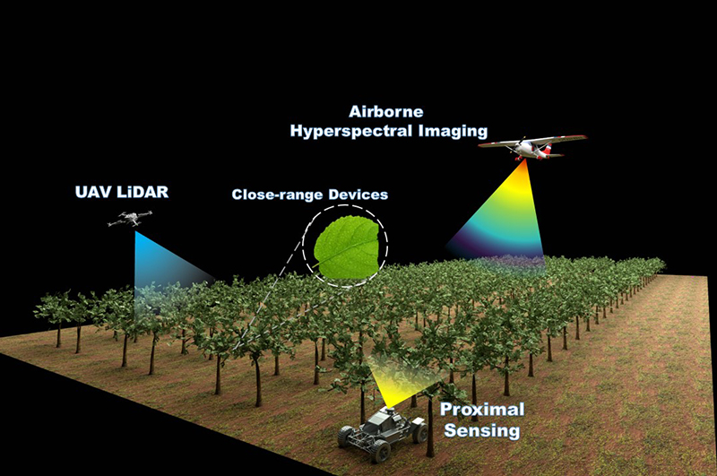 PlantTech orchard monitoring