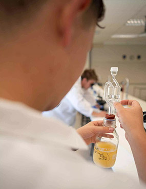 Student studying at Bragato