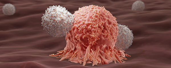 cancer cells