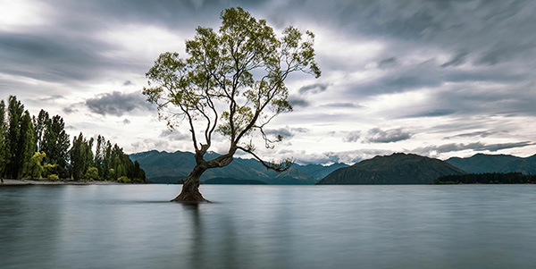 Lake Wanaka