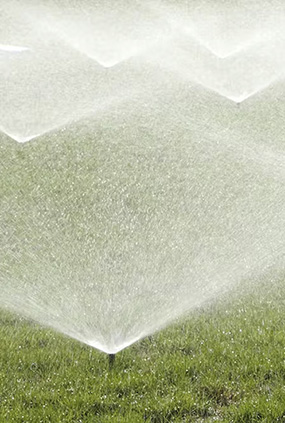 water sprinklers