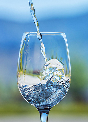 Sauvignon blanc wine