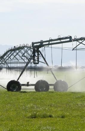irrigation
