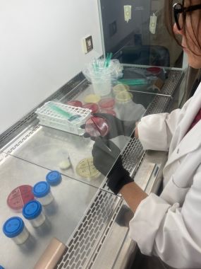 Milk sample testing