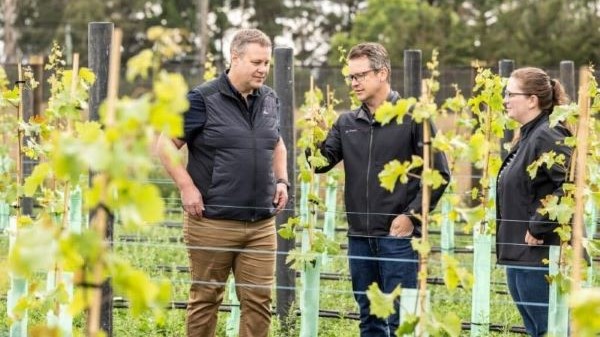 Ross Wise, Darrell Lizamore, and Amy Hill