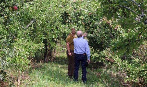 Armin Werner in apple orchard