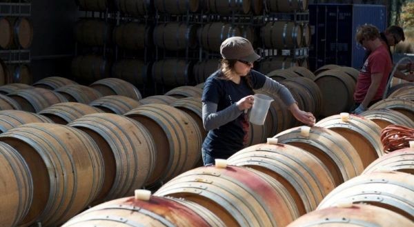 testing wine barrels