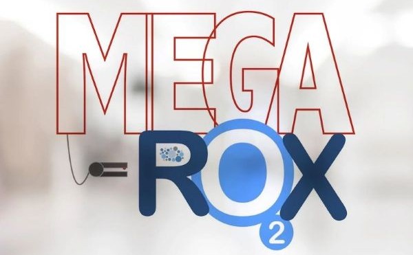 Mega-ROX logo